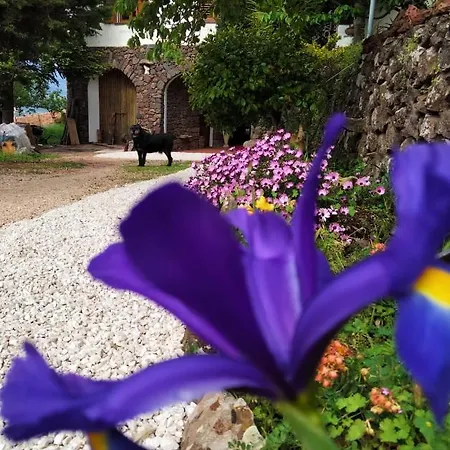 Casa Belvedere Sa Costa *